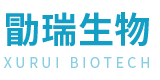 Wuhan Xurui Biotechnology Co., Ltd.