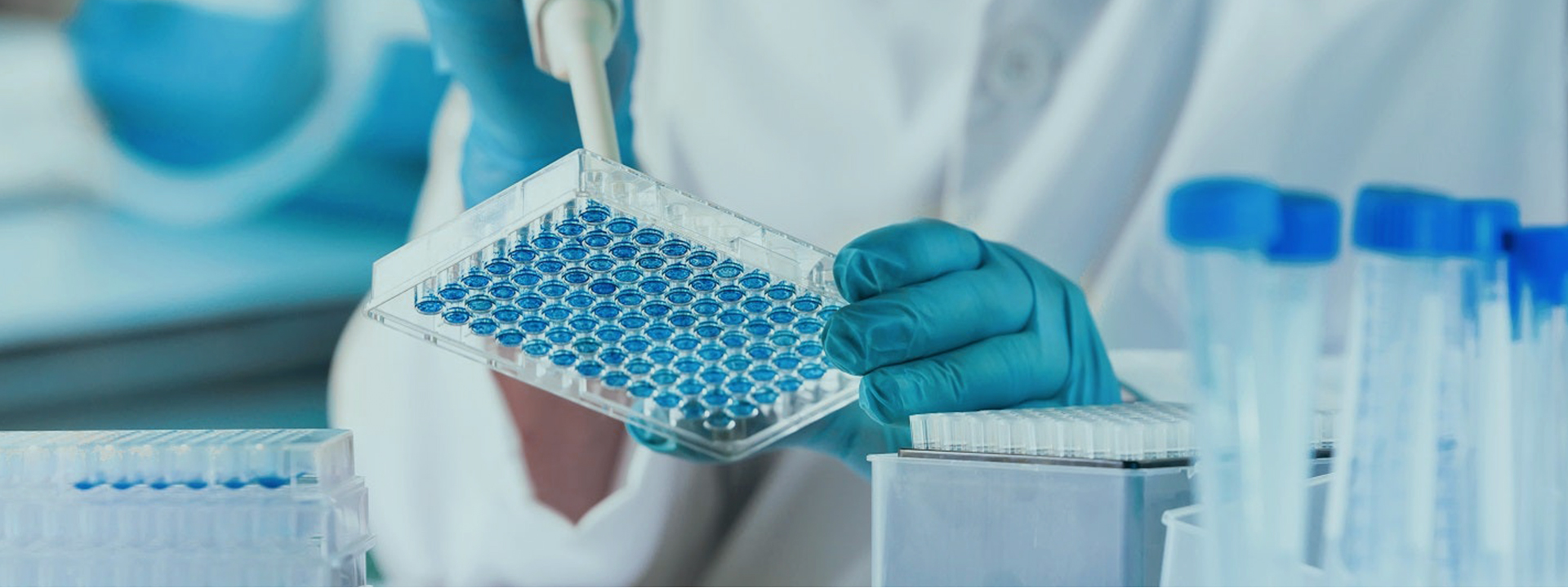 Immune Turbidity